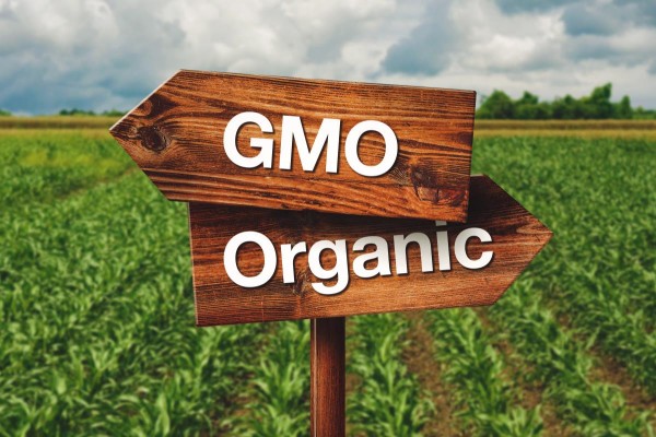 Whole Foods’ promise to label everything with GMOs by 2018 is quickly approaching